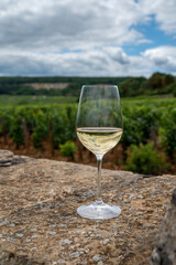 Tasting of white dry wine made from Chardonnay grapes on grand cru classe vineyards near Puligny-Montrachet village, Burgundy, France