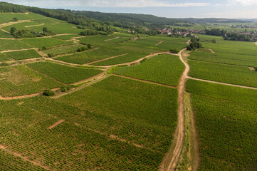 Obraz premium Panoramic view on grand cru vineyards in Côte-d'Or Burgundy winemaking region, Bourgogne-Franche-Comté, France