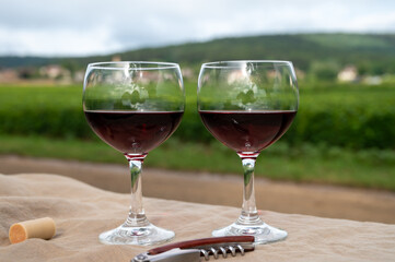 Tasting of red dry pinot noir wine in glass on premier and grand cru vineyards in Burgundy wine making region near Vosne-Romanée village, France