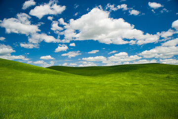 Endless green farm fields sit beneath a beautiful blue sky and puffy white clouds in Eastern...