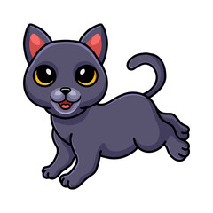 Cute chartreux cat cartoon walking