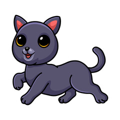 Cute chartreux cat cartoon walking