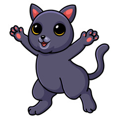 Cute chartreux cat cartoon posing