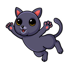 Cute chartreux cat cartoon posing