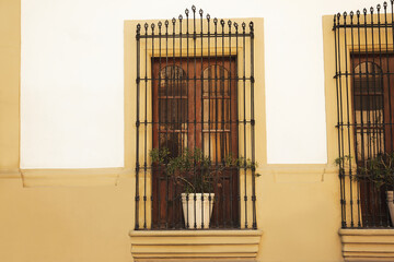 Beautiful windows with grills and potted plants on building, view from outdoors