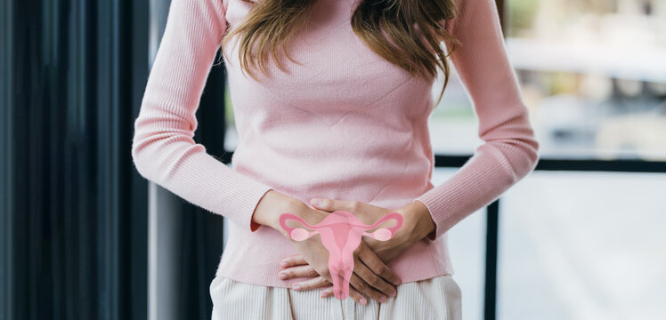 Woman hands touching virtual uterus, female reproductive system , woman health, PCOS, ovary gynecologic and cervix cancer, Healthy feminine concept