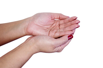 palm hand on the hand as a gesture request to receive, isolate on tranparent background	
