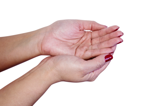 palm hand on the hand as a gesture request to receive, isolate on tranparent background	
