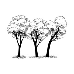 Set of hand drawn architect trees, silhouette, sketch collection graphic template vector illustration.
