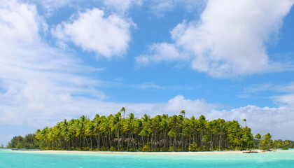 Tropical island with palm trees and white sandy beach