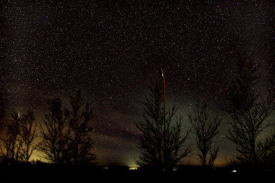 Estrellas Y Arboles