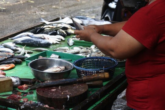 fresh sea fish seller at a traditional market, Depok, West Java, Indonesia. focus on hand.
