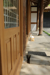 주인이 간식 주기를 문밖에서 기다리는 고양이