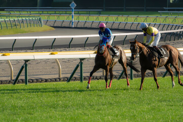 競馬　レース後