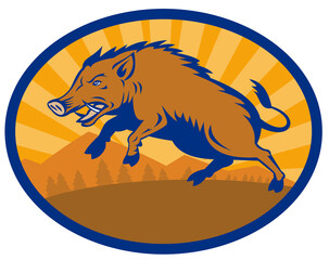 illustration of a Wild Boar Pig Razorback Hog attacking with landscape in background