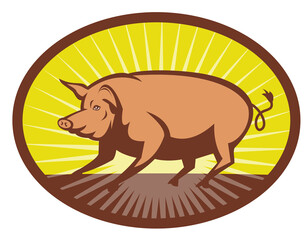 illustration of a Pig side view with sunburst in background set inside an ellipse