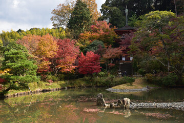 autumn in Joruri-ji temple