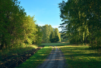 Forest park in early autumn