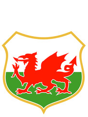 illustration of a red welsh wales dragon with shield in background