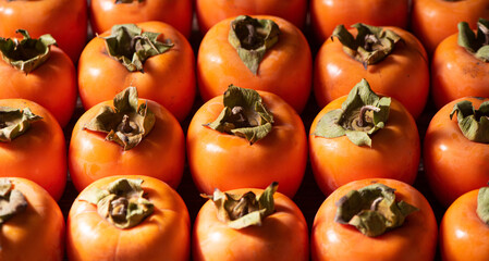 row of Ripe persimmon fruit background.Close up of fresh kaki