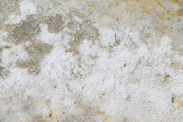 salt on concrete