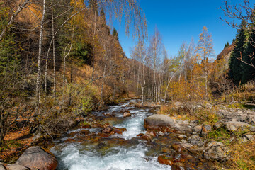 Mountain river and mixed autumn forest on a sunny day