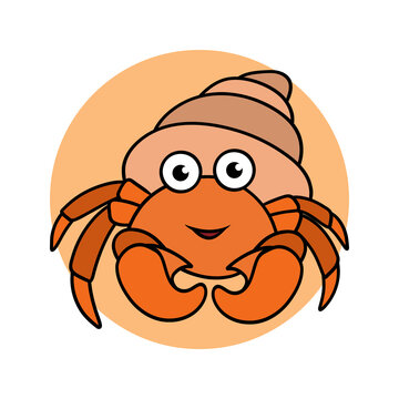 hermit crab sea animal illustration