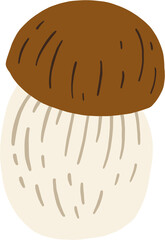 doodle freehand sketch drawing of bolete mushroom.