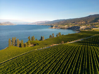 Naramata Bench Winery Vineyard Penticton Okanagan Valley