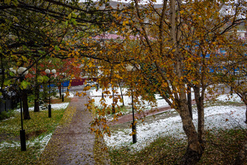 Fototapeta na wymiar Autumn landscape in the park of Petropavlovsk-Kamchatsky