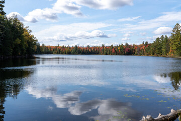 autumn landscape with lake and trees