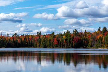 autumn landscape with trees and lake