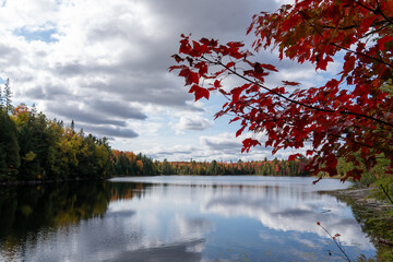 autumn landscape with lake