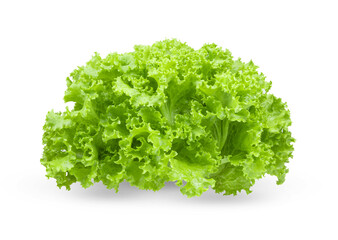 fresh green lettuce salad leaves isolated on transparent png - obrazy, fototapety, plakaty