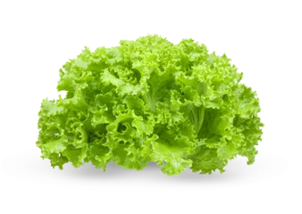 Foto op Plexiglas fresh green lettuce salad leaves isolated on transparent png © supamas