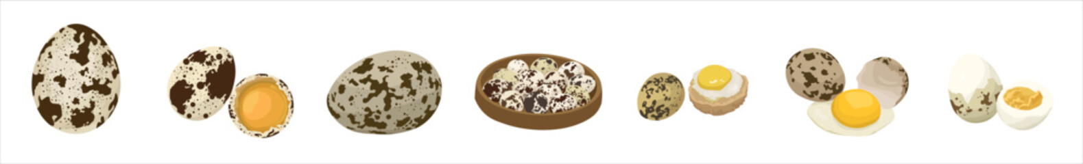 Set of quail eggs on white background