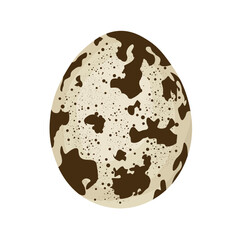 Quail egg on white background
