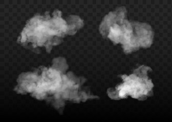 Vector Nude rose brush strokes with golden sparkles pattern, luxury outline decoration. Pastel pink delicate decoration background