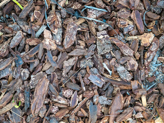 close up of a pile of chips