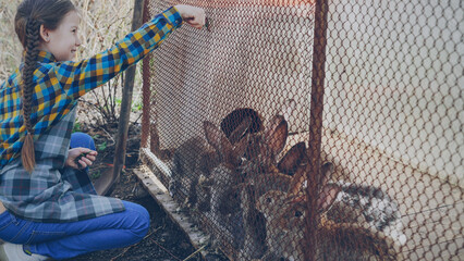 Excited little girl in apron is feeding cute caged rabbits with grass on farm, watching them eat...