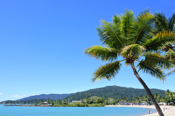 Fototapeta na wymiar Landscape view of Airlie beach Queensland Australia