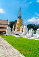 Wat Suan Dok Buddhist temple (Wat) in Chiang Mai, northern Thailand - 537697566