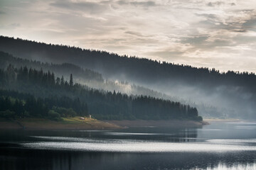 Isolated mountain pine forest landscape
