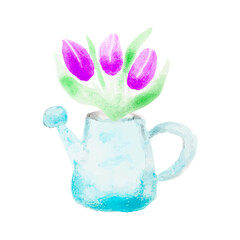 Watercolor watering can with spring tulips isolated on white background. Gardening subject. For plants and flowers.