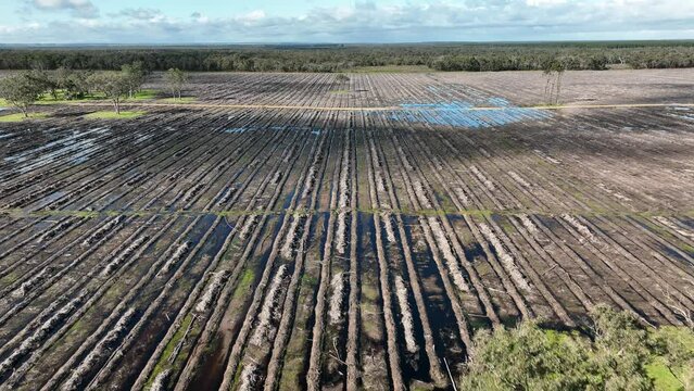 Rainforest deforestation in the Amazon, in Brazil destroying the trees. Waterlogged soil, and climate change damage.