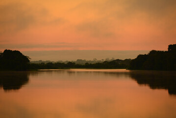 Fototapeta na wymiar Dawn on a misty Guaporé - Itenez river, near the remote village of Cafetal, Beni Department, Bolivia, on the border with Rondonia state, Brazil