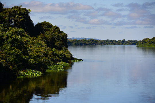 Mid-morning on the rainforest-lined Guapor&eacute;-Itenez river, near the remote village of Remanso, Beni Department, Bolivia, on the border with Rondonia state, Brazil
