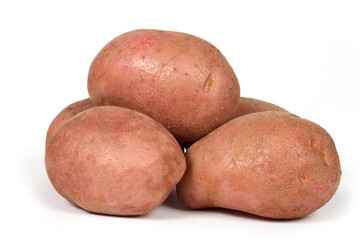 Large pink potatoes on a white background.