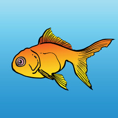 illustration of goldfish