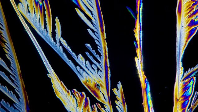 Fabulous Ice crystals growing time lapse. Simple light polarisation under microscope